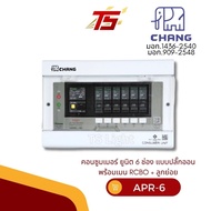 CHANG Consumer Cabinet Model APR-6 6-Slot Electrical With RCBO 50A And 63A Main