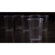 8oz PP Plastic Cup 250ML / PP Plastic Cup / Disposable Cup (50pcs±)