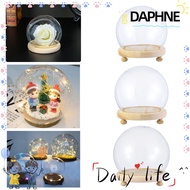 DAPHNE Jar Glass Vase Transparent Bottle Spherical Terrarium Glass cloche