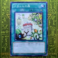 [VA Va] YUGIOH YUGIOH Naturia Forest DREV-JP051 N