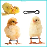 RPAN 50 100Pcs Chicken Leg Bands Adjustable Hobbling Chicken Hobble Brace for Puddle