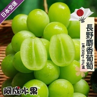 【阿成水果】飽滿多汁 果皮極薄 日本空運長野麝香葡萄 (1串350g/盒)