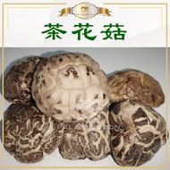 (一口菇/2.5-3.2cm/4-5cm)Cendawan Bunga Kering/Tea Flower Dried Mushroom 茶花菇[HALAL] Cendawan Kering Halal