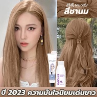 ย้อมผมสุดฮิตที่บ้านเองก็ได ไม่จำเป็นต้องฟอกขาว STYLE FIT ครีมย้อมผม ยาย้อมผม สีย้อมผม สีย้อมผมแฟชั่น