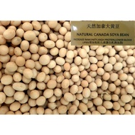 Natural Canada Soya Bean 天然加拿大黄豆 500G/1KG