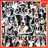 50 Pieces Of Border Collie Dog Sticker