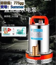 廠家出貨 韓羽直流潛水泵12V24V48V60V伏電瓶車水泵電動車抽水泵農用抽水機  露天