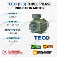 TECO MOTOR 3 PAHSE INDUCTION MOTOR (IE3) 0.75KW (1HP) B3 B5 ELECTRIC MOTOR 2 POLE 4 POLE 6 POLE