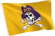 Desert Cactus East Carolina University 100% Polyester Indoor Outdoor 3x5 feet Banner Pirates ECU (Fl