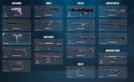 Valorant Account 特戰英豪帳號 20 Premium Skins 2023絕版冠軍AK 黑波套 混沌套 掠奪爪刀