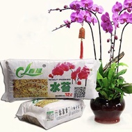 SAGUA 6/12L Natural Cultivation Substrate Home Pot Plant Phalaenopsis Orchid Pet Bedding Organic Fer