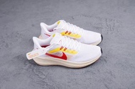 Nike Zoom Pegasus 39