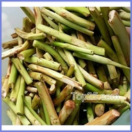 ❁ ◬ ◨ Takway, Taro Shoots(Daludal) long root of taro used as vegetables.
