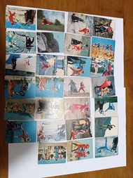 五勇士27張細咭