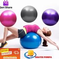 Art E5X Gym Ball Gym Ball Free Pump