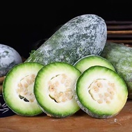 🌱5 Biji BenihWinter Melon Kundur 冬瓜种子