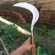 LI-01 arit rumput dan ranting/sabit rumput dan padi/sabit super tajam madura [terbaik][terlaris]