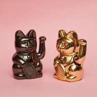 DONKEY 招財貓 - 限定亮面款