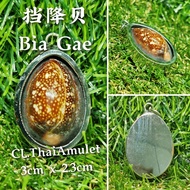 💯泰国佛牌💯 挡降贝 Biagae 🙏挡险、挡灾、挡住不好的东西、辟邪🍀化解煞气🍀包好白钢壳 ✅