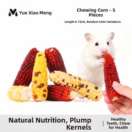 YUEXIAOMENG | Nutritious Corn Teeth Grinding Sticks