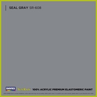 ∆ ☇ ╯ DAVIES Sun & Rain Color Pods Paint (250ml) Seal Gray