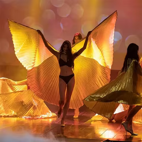 1 adult golden wing stage performance dance prop suitable for holiday gifts, event parties (comes wi