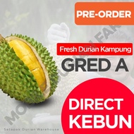 Fresh Durian Kampung