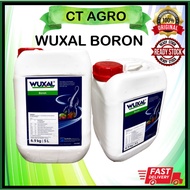 Wuxal Boron 5L Ready Stock Agrobridge Baja Foliar High Quality