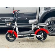 Brand 3 wheel electric bike