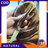 Pipa Rokokk Unik Antik Murah Tanduk Rusa Cabng Natural Super