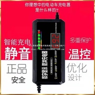 Maintain 48v60v72v Lead-Acid Battery Battery Electric Vehicle Battery Activation Charger SMMW