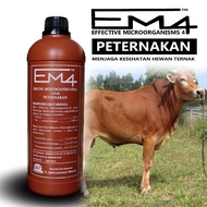 EM4 Prebiotic bioactivator 250ml to 1L SY271 animal feed Fermentation Liquid