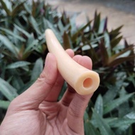 Once pipa cangklong tulang igduy kristal pucuk super tebal 12-13cm melengkung