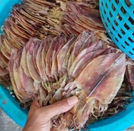ปลาหมึกแห้ง ปลาหมึกผ่าหนังแห้ง ไซส์3นิ้ว 500กรัม  สดไหม่ อร่อย ไม่เค็ม