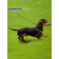 CHUKCHI Small Medium Dog pu Pet p Chain Dog Leash Dog Chain Pet Collar