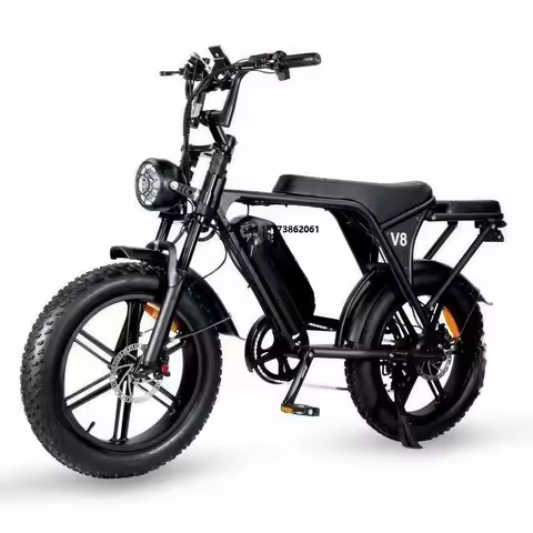 X3 Electric Hybrid E-Bike 1000W/2000W Fatbike with 20x4.0 Fat Tire Tyre V8-Ebike