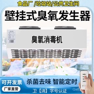 Sterilizer Ozone Workshop Food Manufacturer Commercial Deodorizer Room Sorting Garbage Sterilization