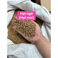 Coriander Seeds - Coriander Seeds 1kg bag