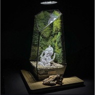 Preserved Moss Terrarium