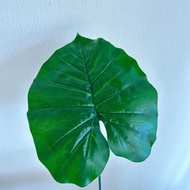 Monstera Leaf Artificial Daun Monstera Palsu No Stem Artificial Monstera Leaf