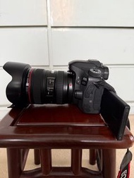 Canon 80D plus EF 24-105 4L IS, 40mm 2.8