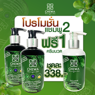 แชมพูลดผมร่วง CHEWA GLUTIONSA BUTTERFLY PEA GINGER SHAMPOO แชมพูลดผมร่วง เพิ่มวอลุ่ม Natural shampoo