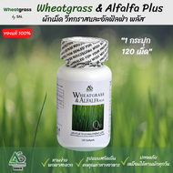 ผักเม็ด Wheatgrass & Alfalfa Plus ผลิตภัณฑ์อาหารเสริม ผักอัดเม็ด แอมสตรอง เม็ดสีดำ ช่วยในการบำรุงสาย