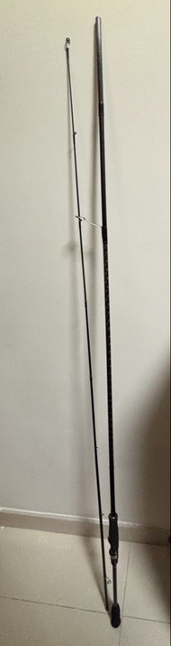 DAIWA EGING X 釣魚竿魷魚竿