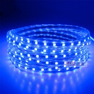 ไฟเส้น LED Strip ไฟสายยาง 5050 5M 10M 15M 20M 25M 30M DC220V 8mm ไฟปีใหม่ ไฟประดับตกแต่ง ไฟเส้นไฟเส้