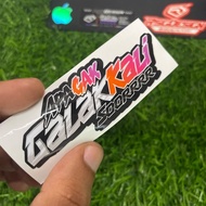 WHAT'S NOT FIERCE, SOORRR sticker, vinyl material, size 9x3