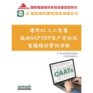 Use AI Artificial Intelligence Assist SAP ERP Customer Effective Computer Auditivation Example Exerc