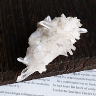 Crystal 四川產地 不規則晶簇 白水晶晶簇 天然礦石 原礦