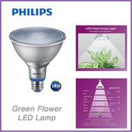 Philips LED Plant Grow Light Bulb PAR38 Daylight 5000K 15.5W