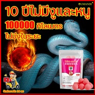 🐍 10 ปีไม่มีงูและหนู กิโลเมตร ไม่มีงูในระยะ 100000 ผงไล่งู ไล่งู ตัวเงินตัวทองแมลงและสัตว์เลื้อยคลานทุกชนิด คุณภาพสูง ไล่แมลง สารไล่งู ไล่ตะขาบ กำมะถัน ไล่งูสีเงิน กำจัดงู ก้อนไล่งู เครื่องไล่งู ไล่งูและหนู กำมะถันไล่งู กำมะถันก้อน ยากันงู ยาไล่งู